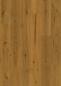 Preview: Kalifornische Eiche 020745407