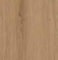 Preview: Eiche Alkmaar Opal XS Vinylboden Preview: Eiche Alkmaar Opal XS Vinylboden