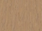 Preview: Eiche Bernstein Rubin XS Preview: Eiche Bernstein Rubin XS