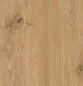 Preview: Eiche Bernstein Rubin XS Preview: Eiche Bernstein Rubin XS