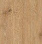 Preview: Eiche Bernstein Rubin XS Preview: Eiche Bernstein Rubin XS