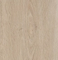 Preview: Eiche Steinweiß Rubin XS Preview: Eiche Steinweiß Rubin XS