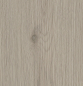 Preview: Design Suhl Designboden auch für Feuchträume Preview: Design Suhl Designboden auch für Feuchträume