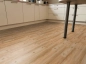 Preview: 69Ad02 Bohemian Pine Preview: 69Ad02 Bohemian Pine