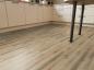 Preview: Sorrel Oak 69Ca97