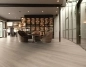 Preview: Enia Mellau Oak Grey Light Preview: Enia Mellau Oak Grey Light