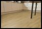 Preview: Aspecta Vinylboden Essentials Planke GD30 Earl GD3020PL41723