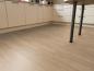 Preview: Aspecta Vinylboden Essentials Planke GD30 Orlo GD3020PL20105
