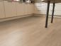 Preview: Aspecta Vinylboden Essentials Planke GD30 Orlo GD3020PL20105