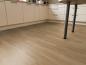 Preview: Aspecta Vinylboden Essentials Planke GD30 Vireo GD3020PL20104