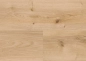 Preview: PL299R Intensive Oak Honey Preview: PL299R Intensive Oak Honey