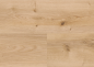 Preview: PLC299R Intensive Oak Honey