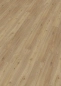 Preview: Enia Lyon Oak Nature Preview: Enia Lyon Oak Nature