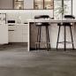 Preview: Republic Floor Goliath REMON04