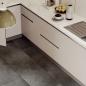 Preview: Republic Floor Goliath REMON04