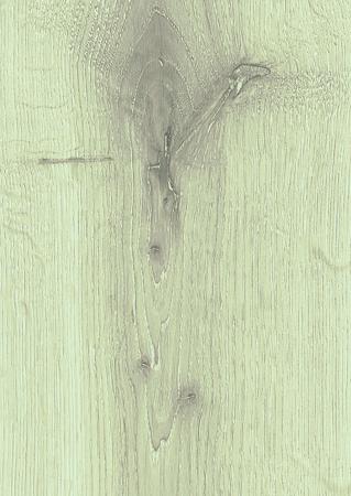 Nordische Weißeiche - 020166333