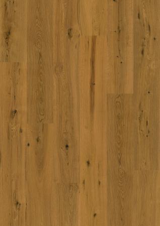 Kalifornische Eiche 020745407