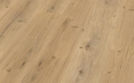 Goldeiche - 026034120