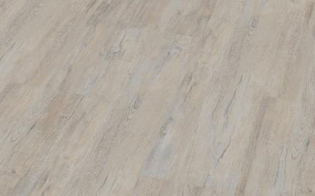 Erle Jesolo 026050003