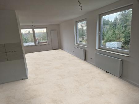 Gerflor VIRTUO 55 1450 TAVLA CLEAR