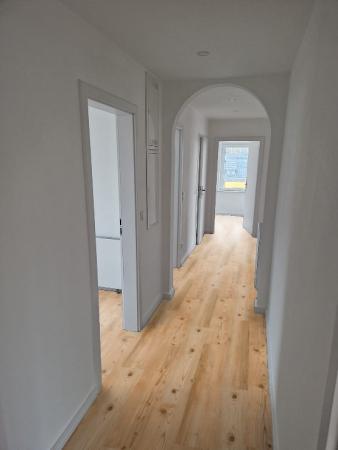 Bohemian Pine 69Am02