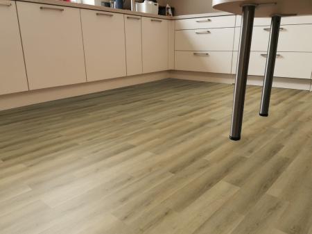 Royal Oak 4V 4V 69Am88