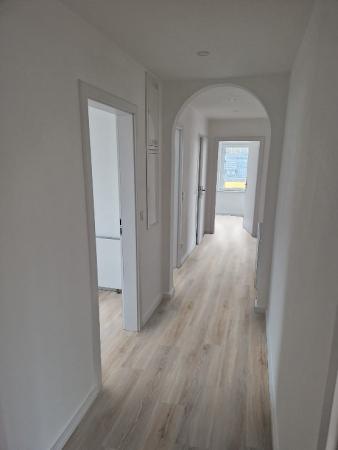 Baltic Driftwood 69Am99E