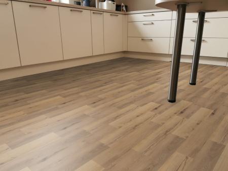 Scandic Maple / 69Ca96