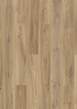 6905 Oak tradition V4 SP