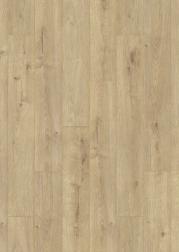6501-Oak summer V4 SP
