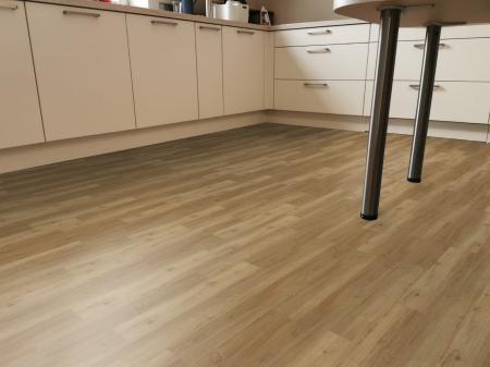 Oak Classic 69Ca22