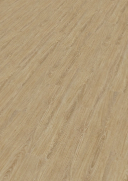 Enia Oak Cream
