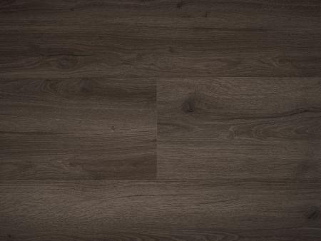 Republic Floor Crocodile Crazeee REAUCC002