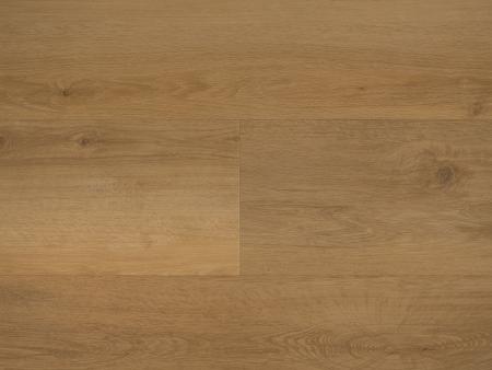 Republic Floor Lost RENACG007