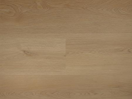 Republic Floor Fly RENACG010