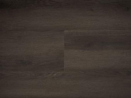 Republic Floor Buzz RENACG015