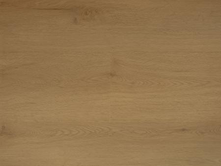 Republic Floor Woke RENACG017-LVT