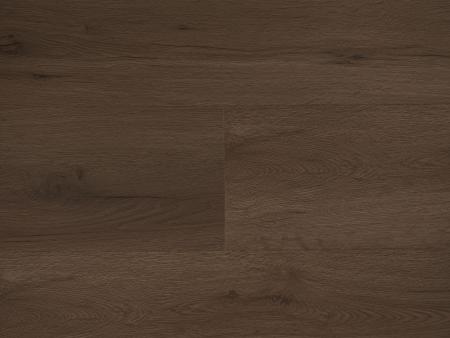 Republic Floor Basic RENACG018
