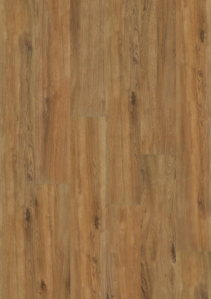 Waldeiche 020745403 Waldeiche 020745403