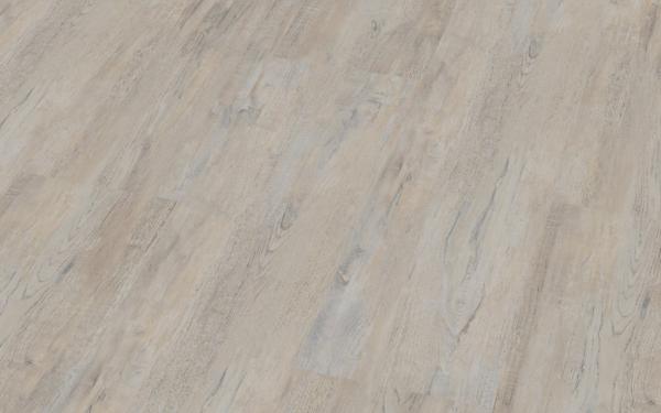 Erle Jesolo 026050003