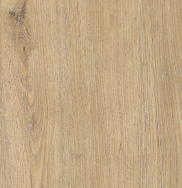 Eiche Hermelin Rubin XS Eiche Hermelin Rubin XS