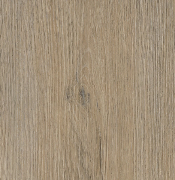 Design Jena Designboden auch für Feuchträume Design Jena Designboden auch für Feuchträume