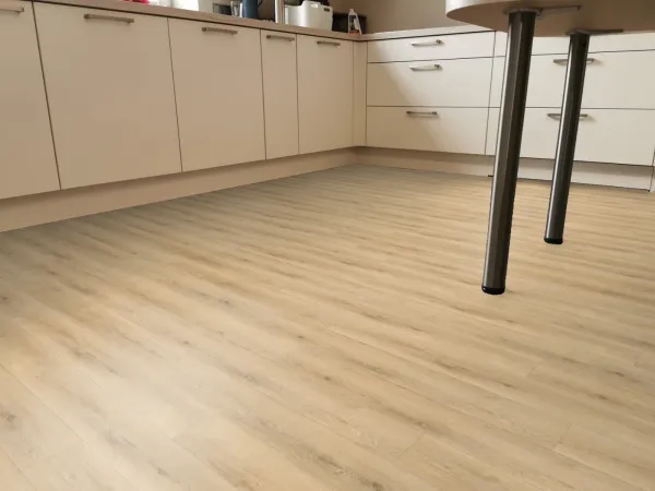 Enia Sorex ​Oak Snow Cream 32650600