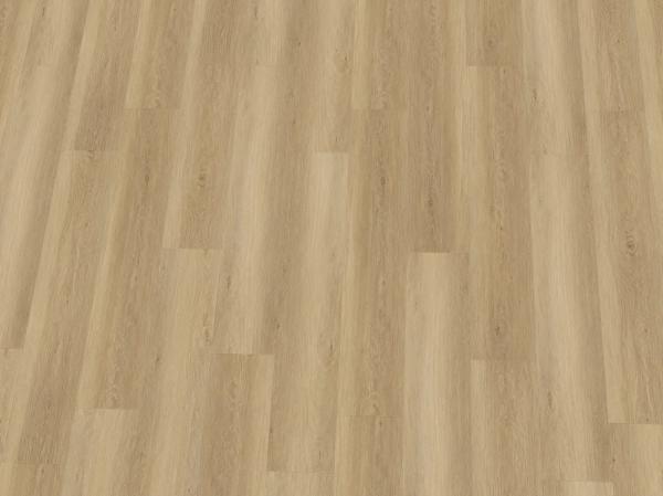 334-255114 Eiche Nizza