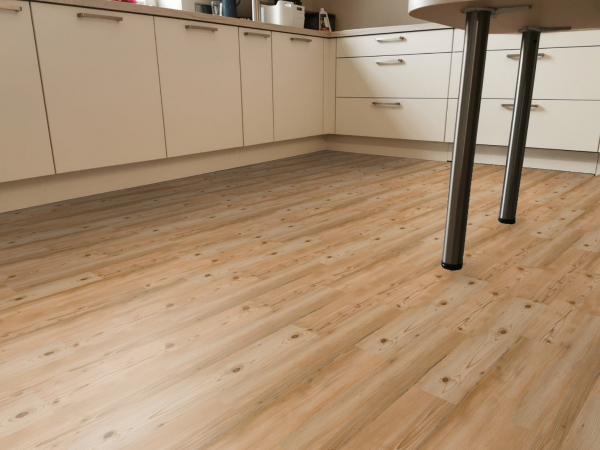 69Ad02 Bohemian Pine 69Ad02 Bohemian Pine