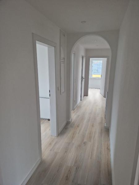 Baltic Driftwood 69Am99E