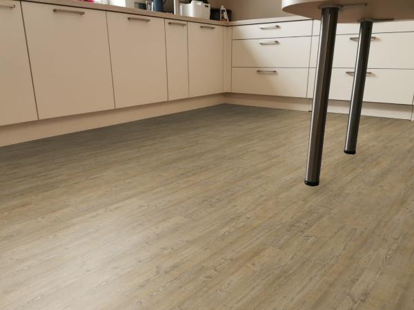 Country Oak Blond / 69Ca47E