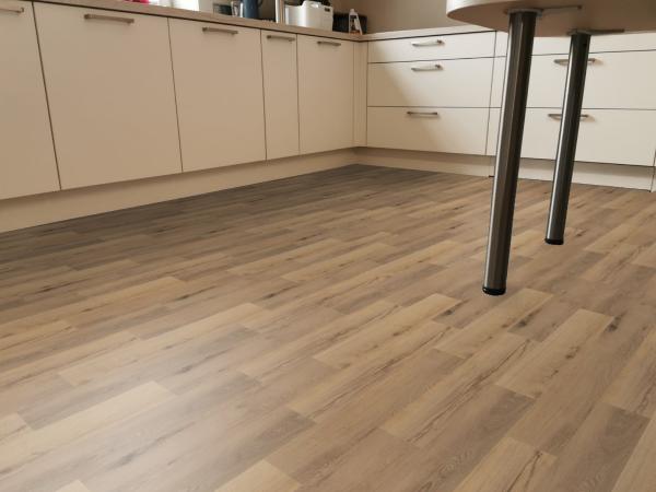 Scandic Maple / 69Ca96