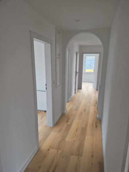 Scandic Maple / 69Ca96