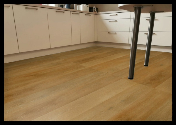 Aspecta Vinylboden Excellence XL-Planke IC55 Lomond 8476558X